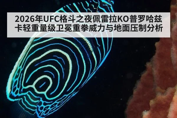 2026年UFC格斗之夜佩雷拉KO普罗哈兹卡轻重量级卫冕重拳威力与地面压制分析